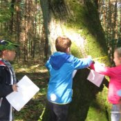Klasa II b odkrywa tajemnice lasu i świętuje Dzień Chłopca